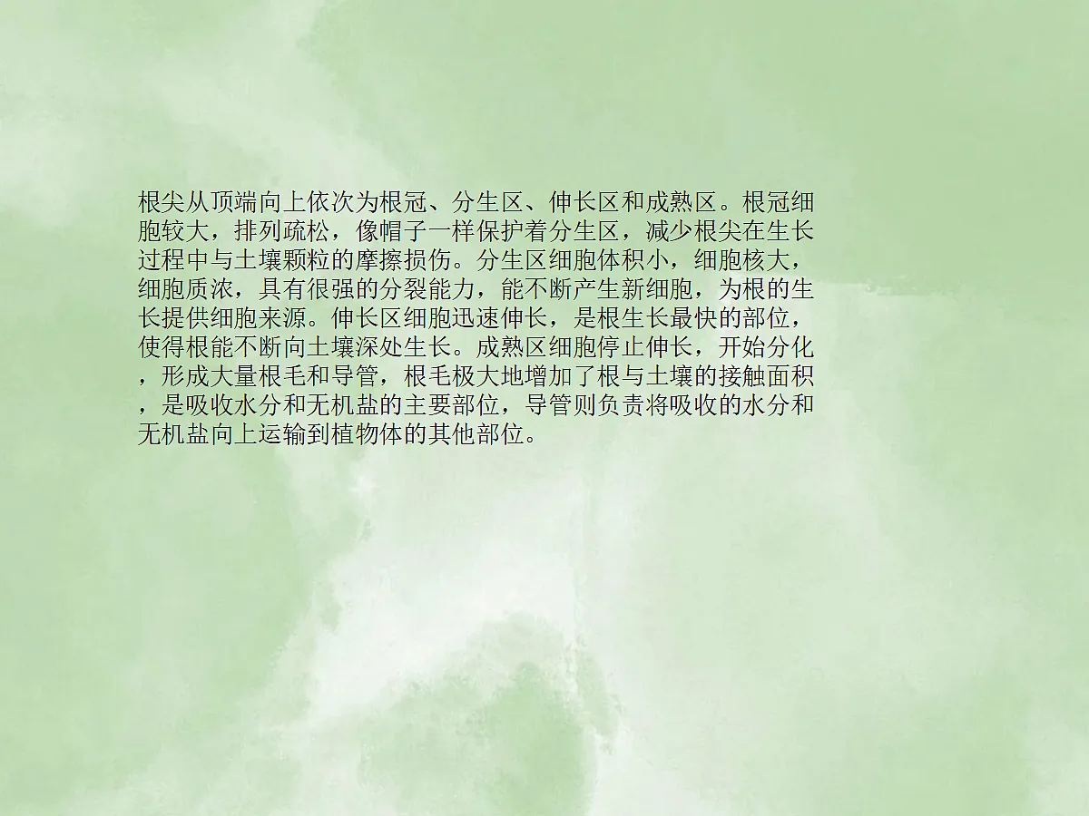 18060264第7页