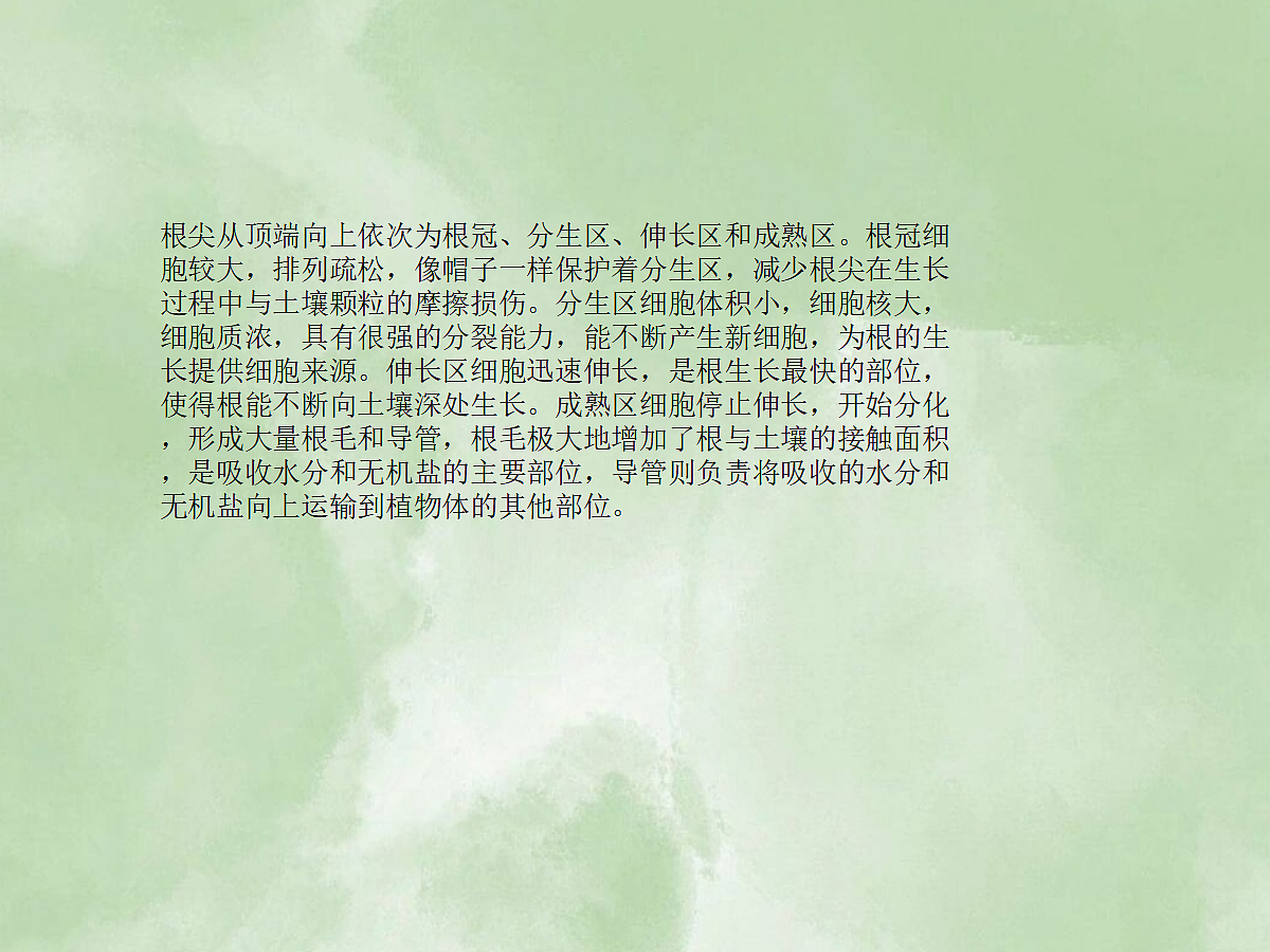 18060264第7页
