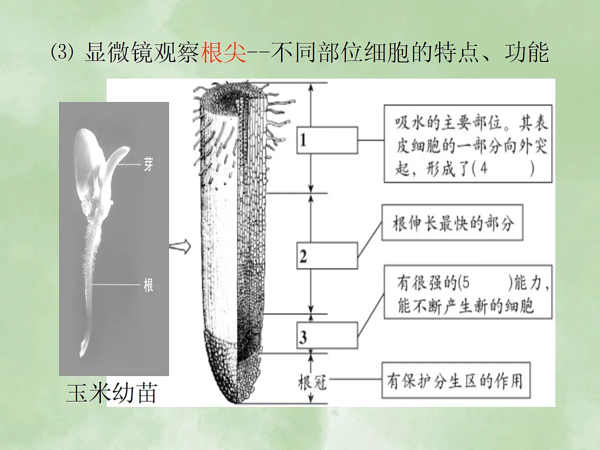 18060264第8页