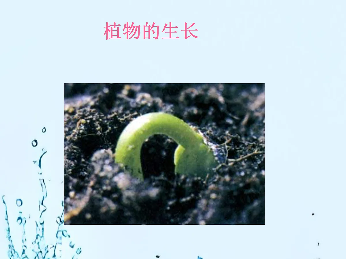 18060265第1页