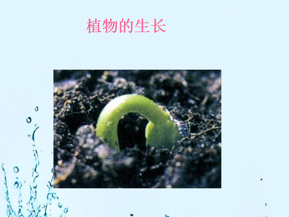 18060265第1页