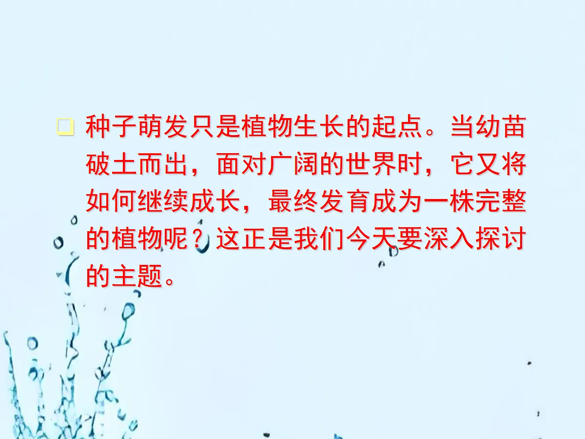 18060265第3页