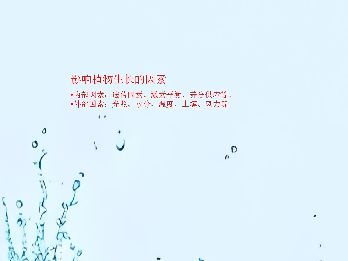 18060265第4页