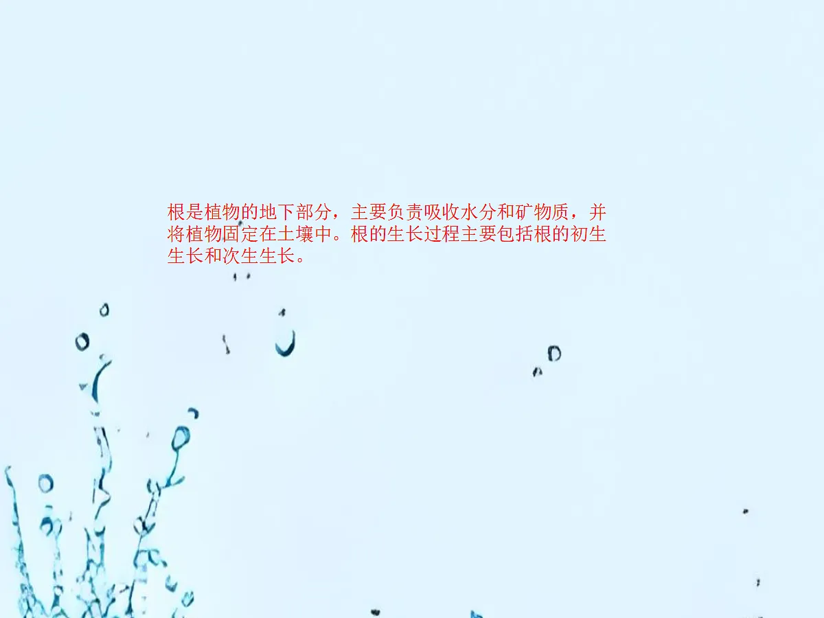 18060265第5页