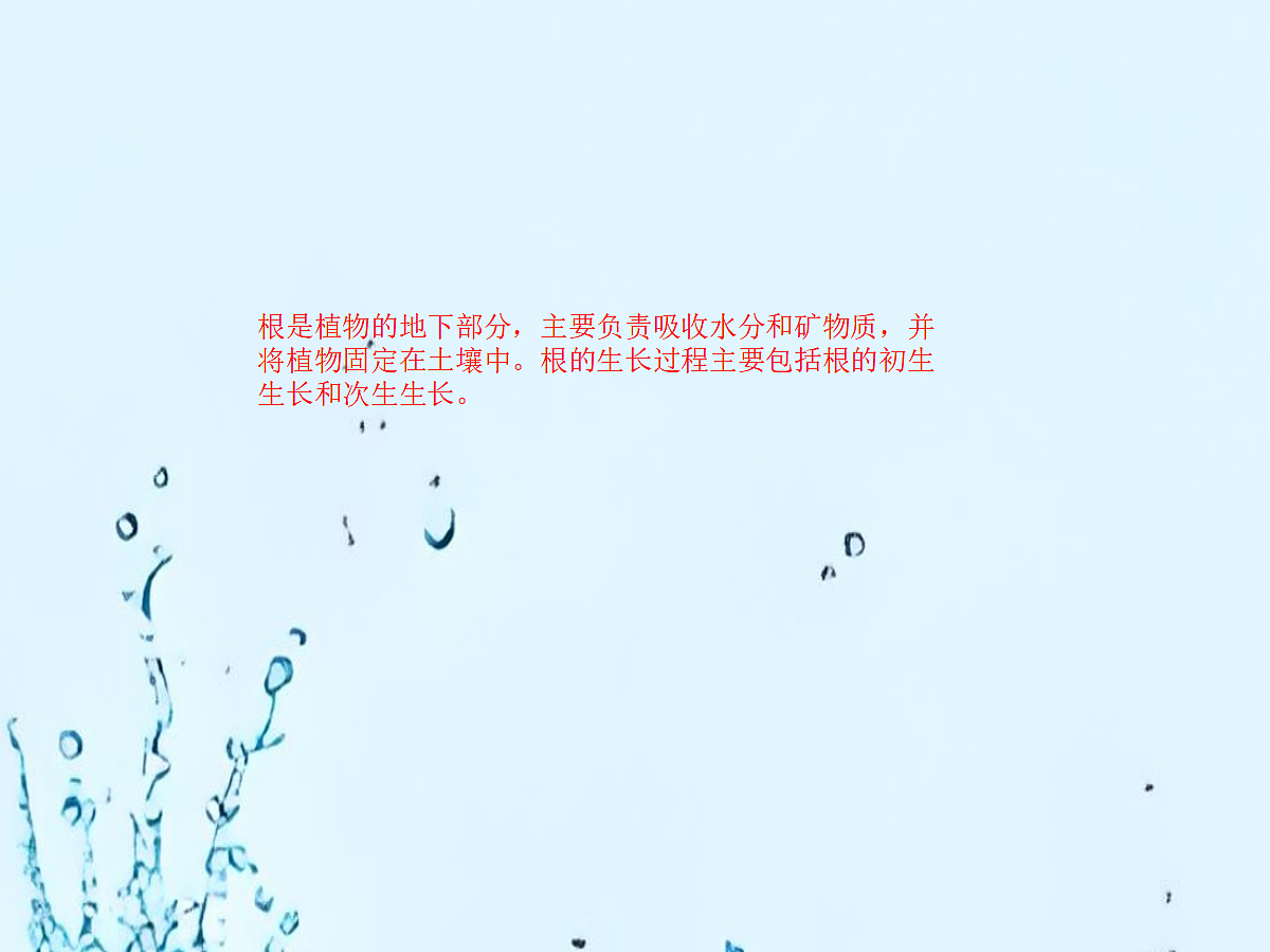 18060265第5页