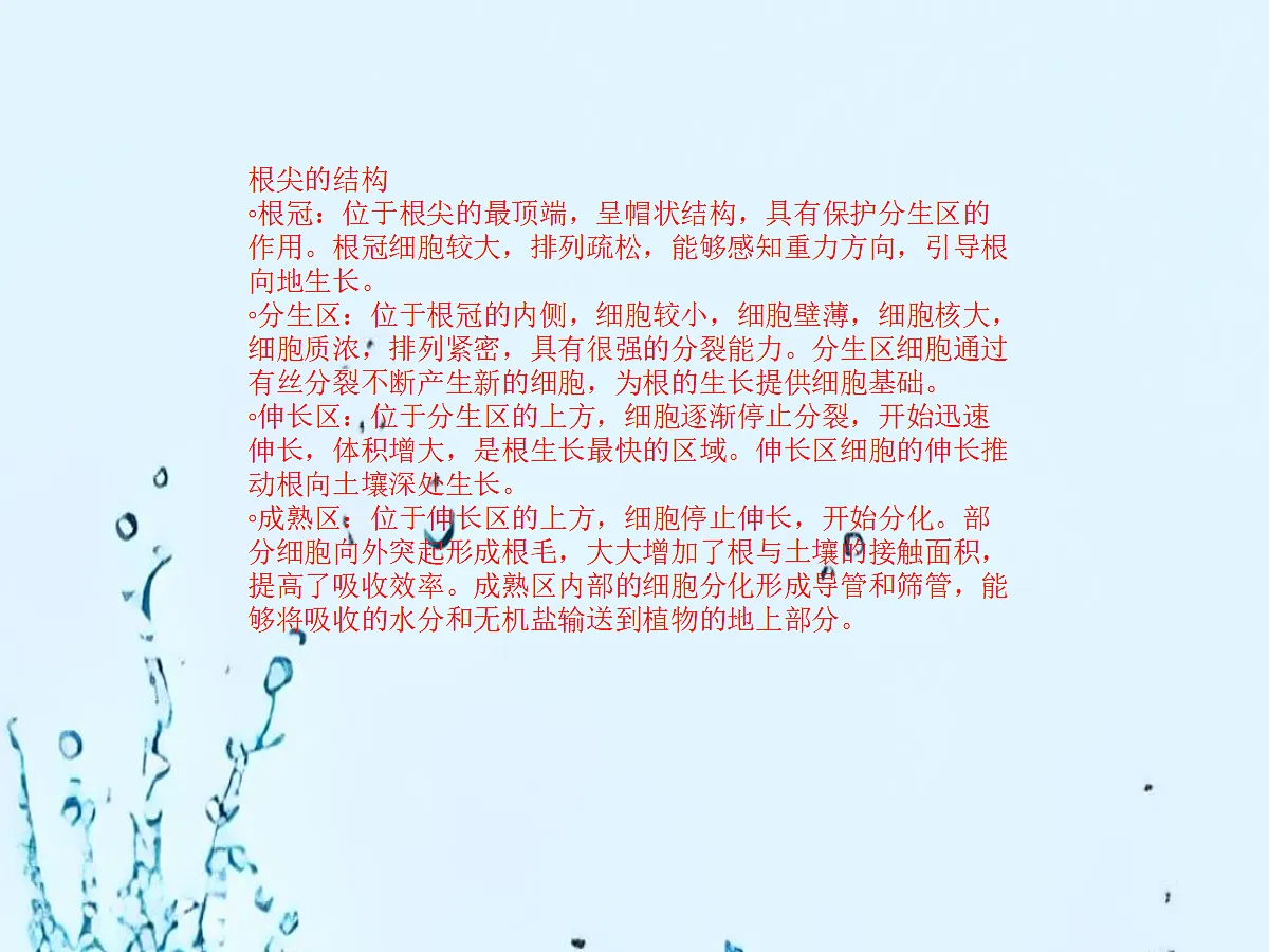 18060265第7页