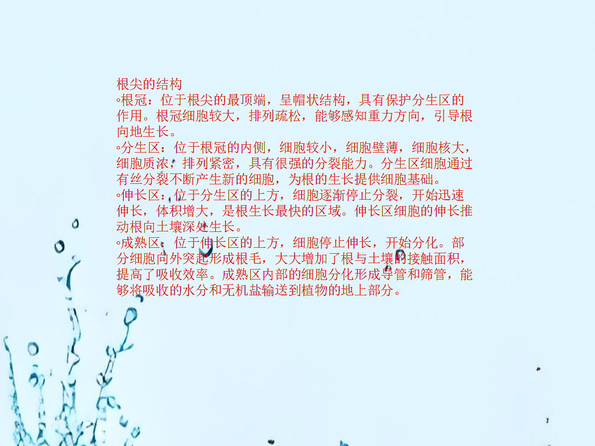 18060265第7页