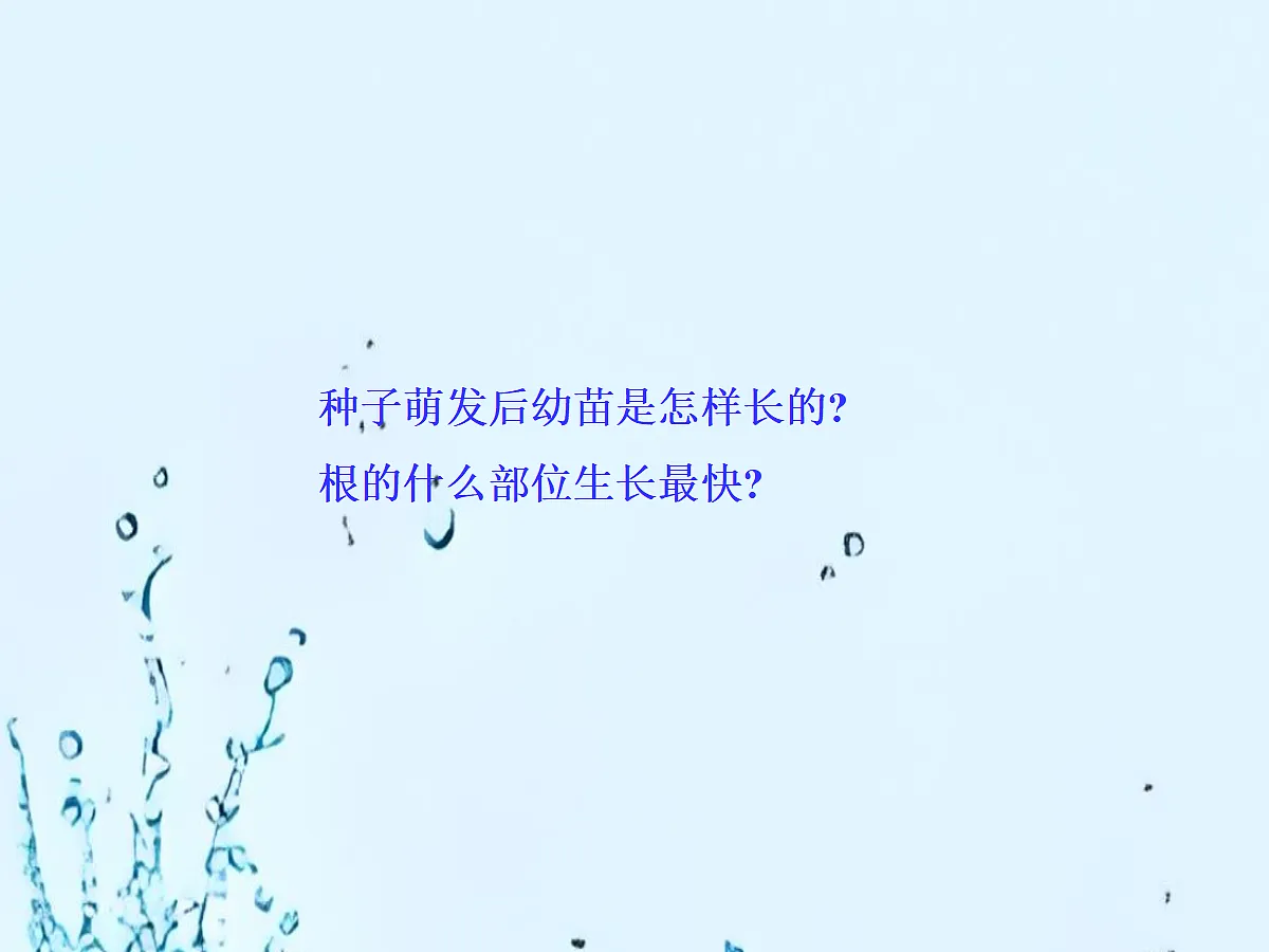 18060265第8页