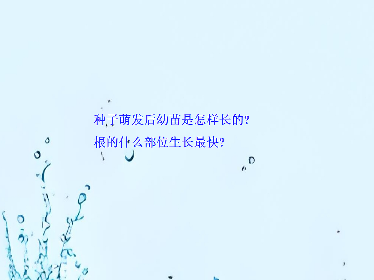 18060265第8页