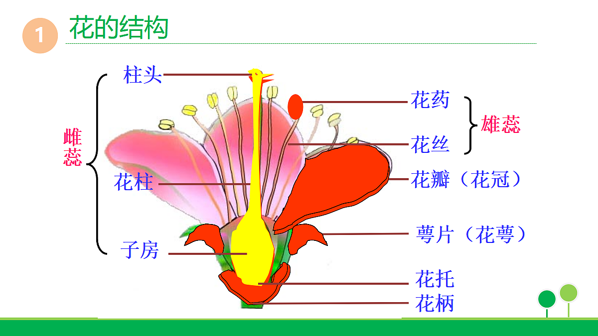 18060267第5页