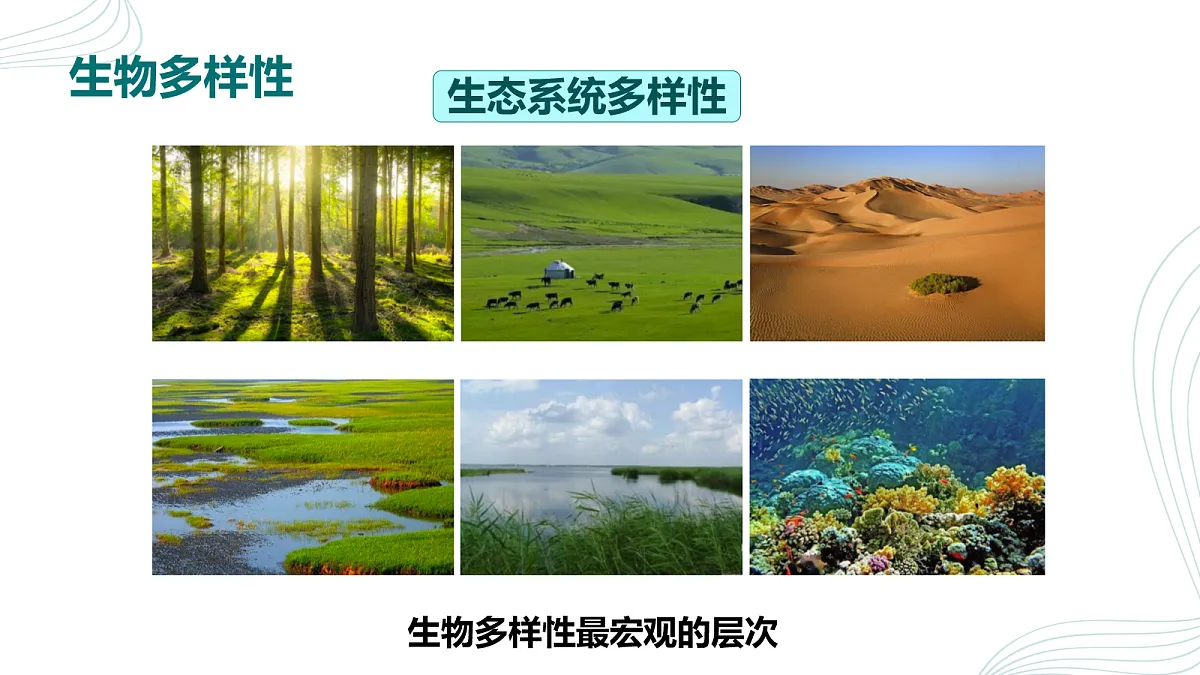 18060268第7页