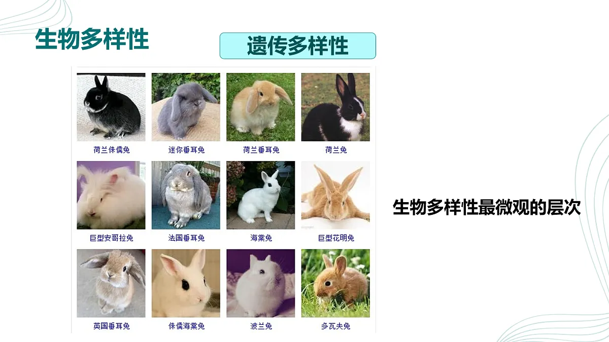18060268第8页