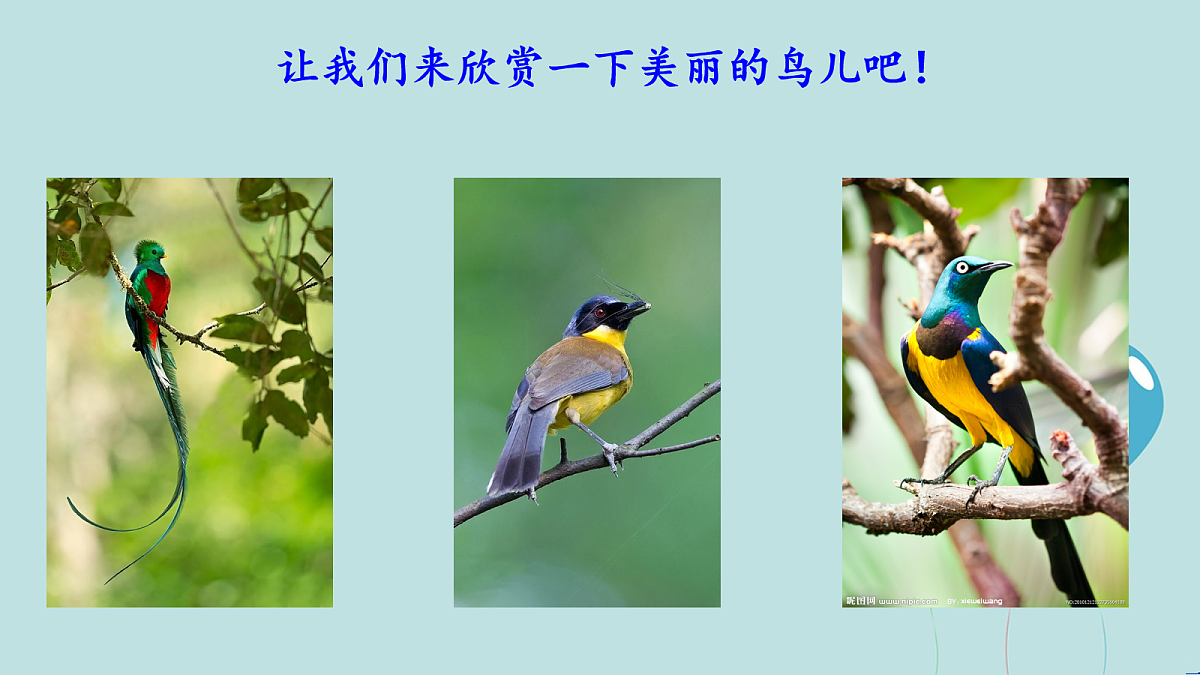 18060272第5页
