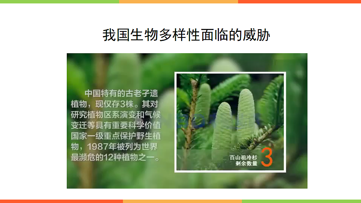 18060274第4页