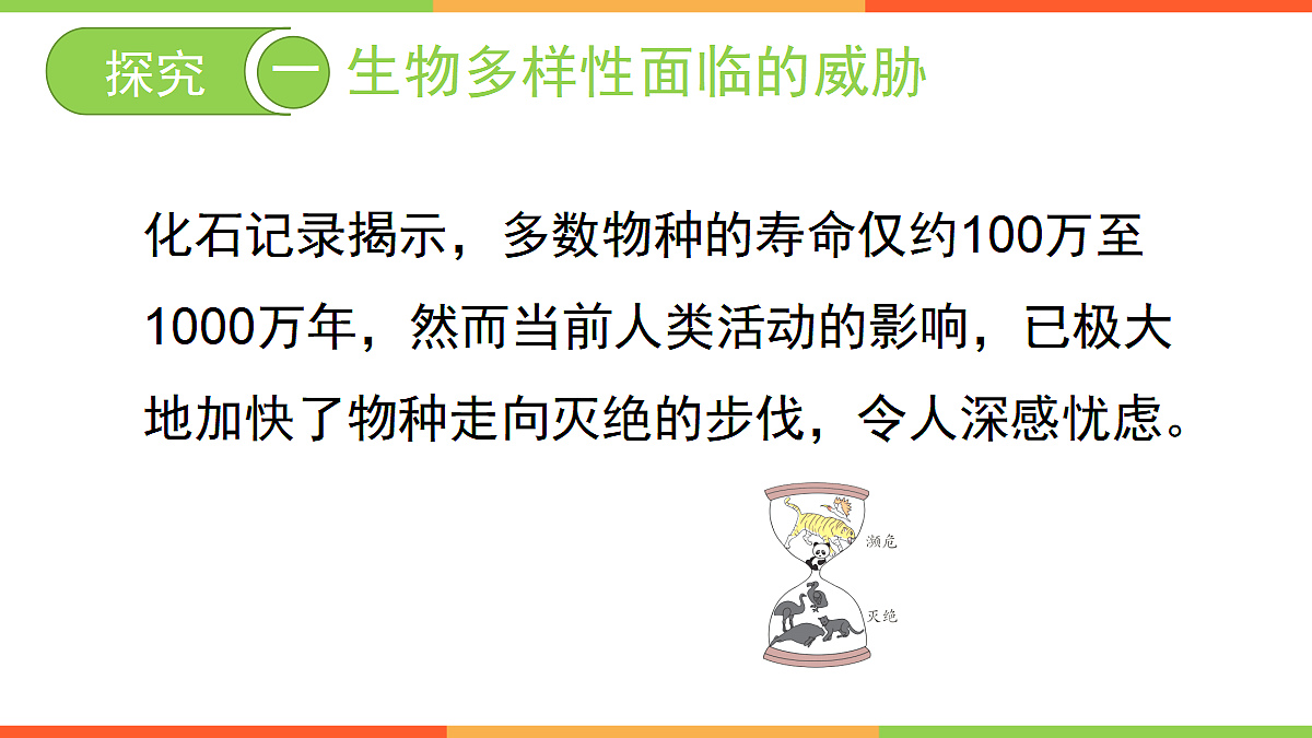 18060274第5页