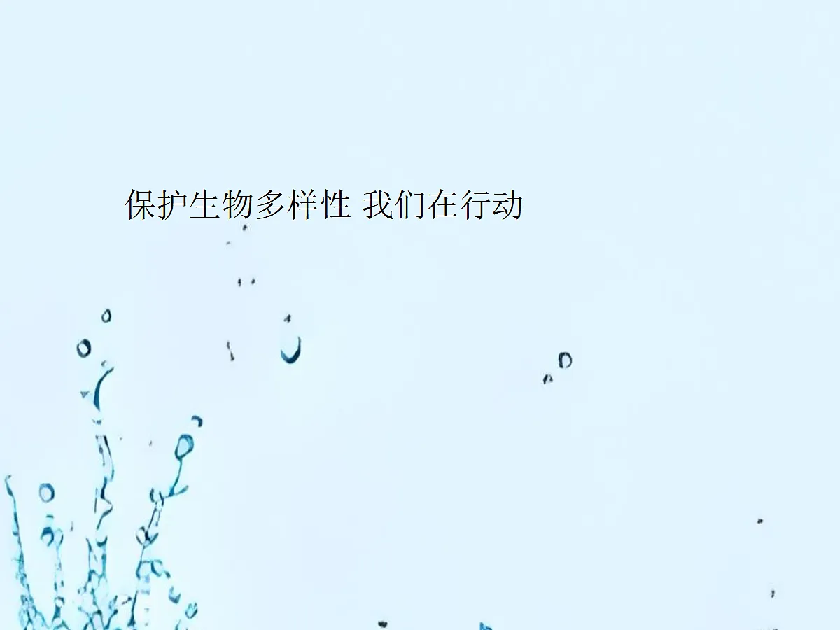 18060275第1页