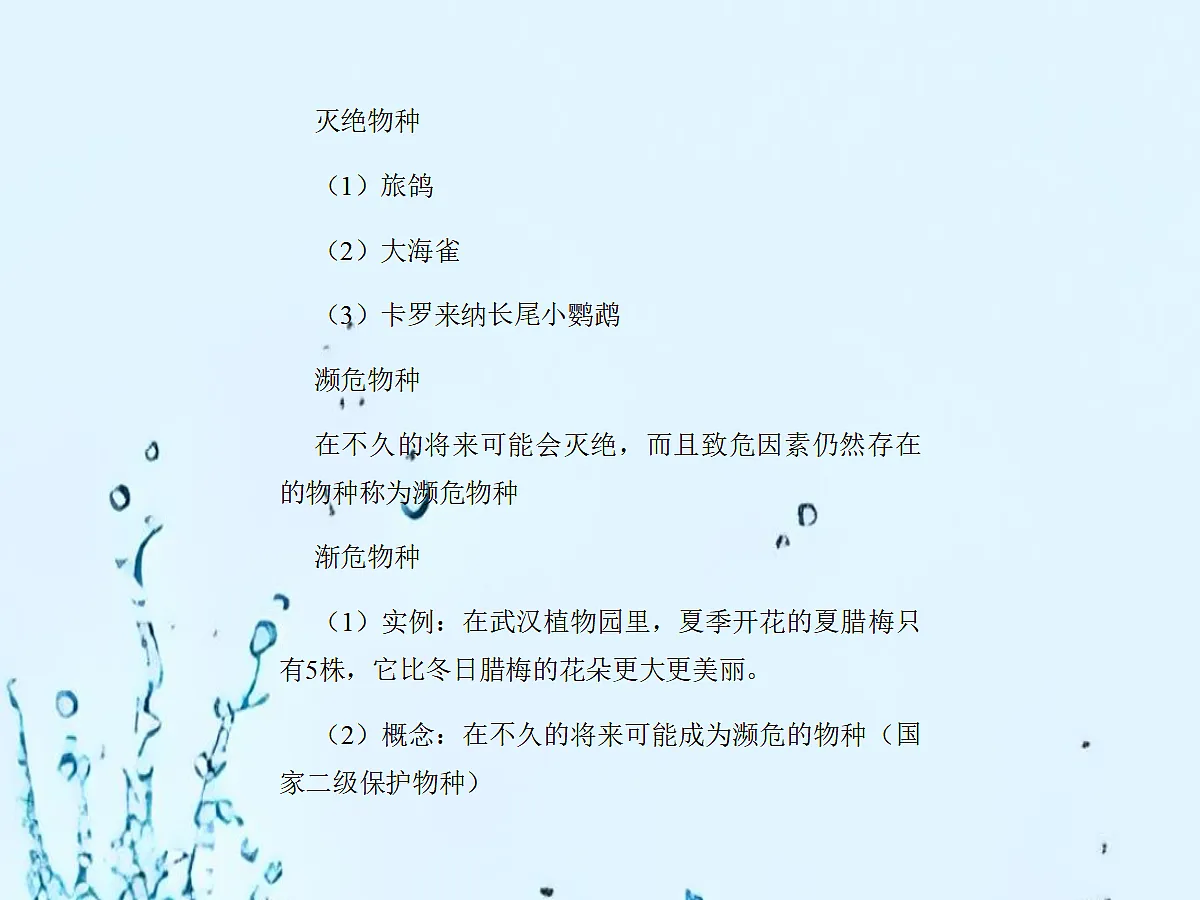 18060275第7页