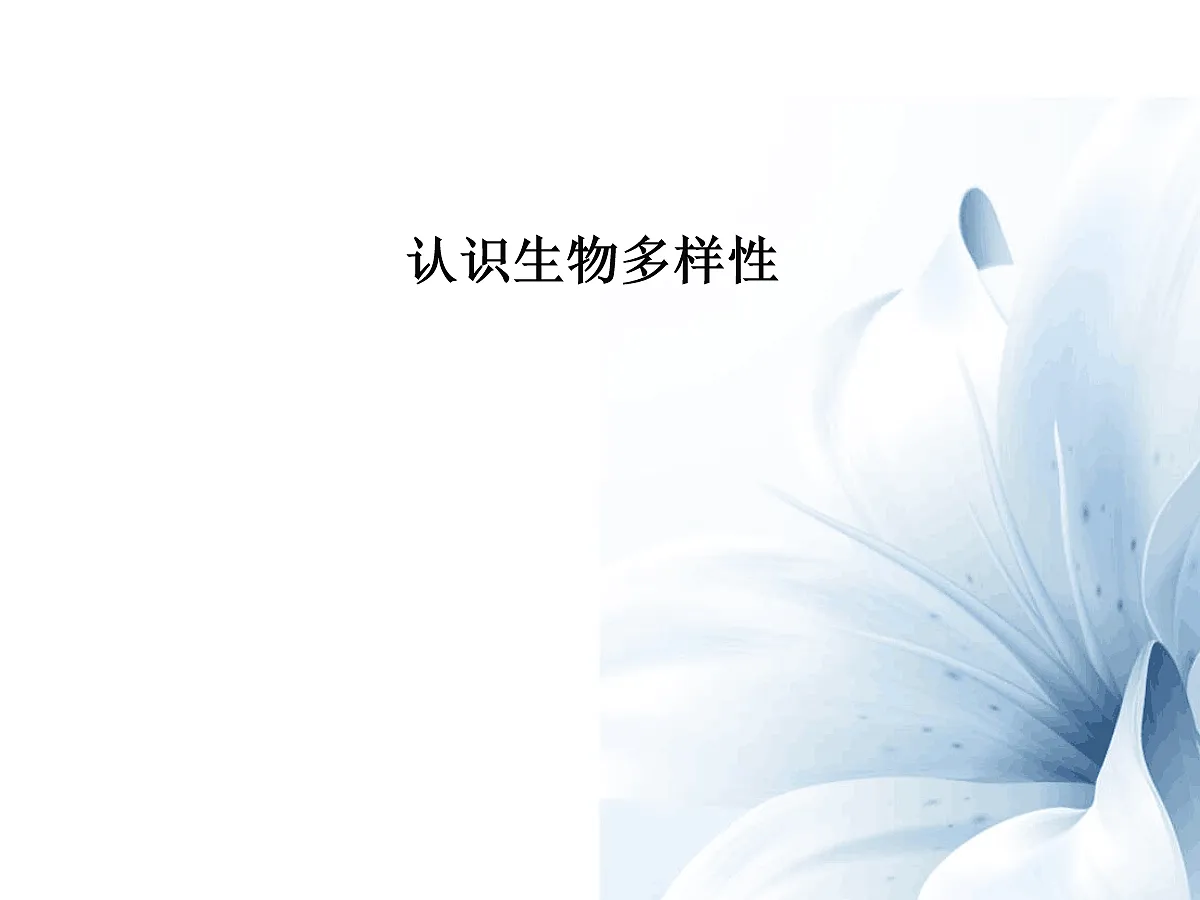 18060276第1页