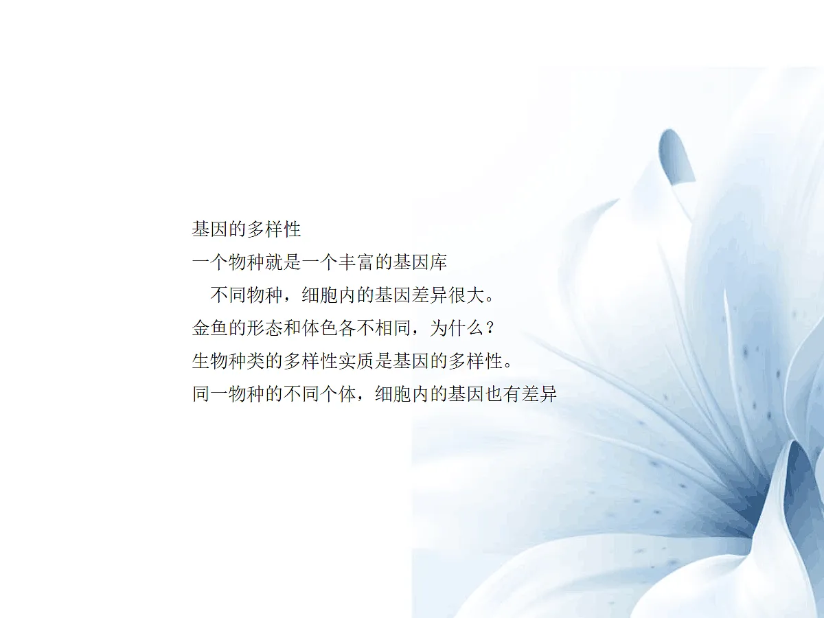 18060276第4页