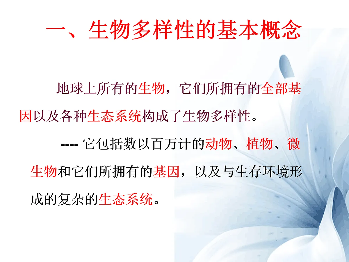 18060276第6页