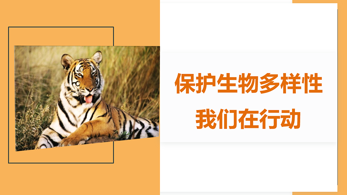 18060279第1页