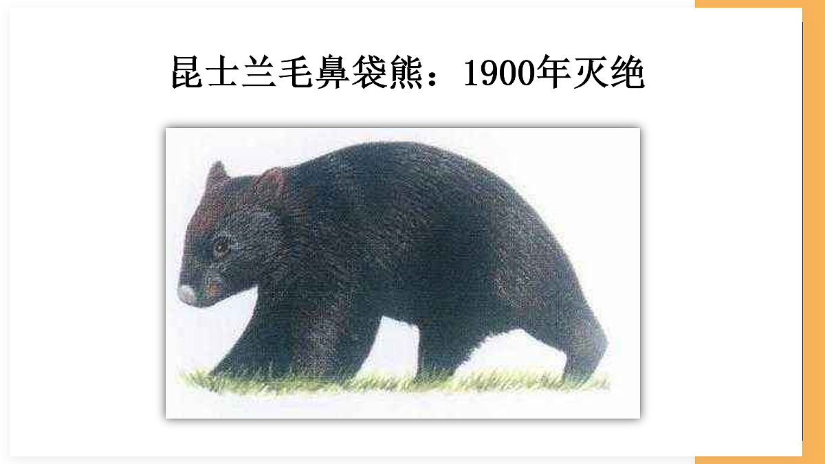 18060279第7页