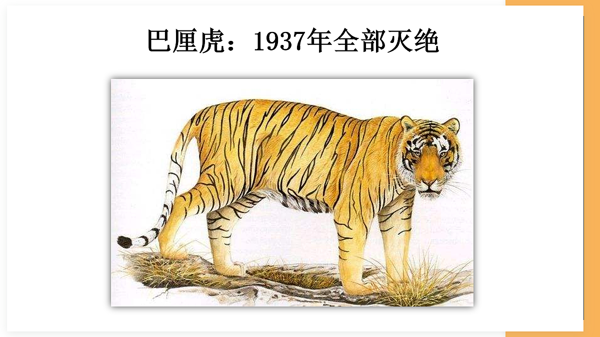 18060279第8页