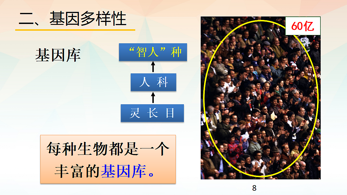18060280第8页