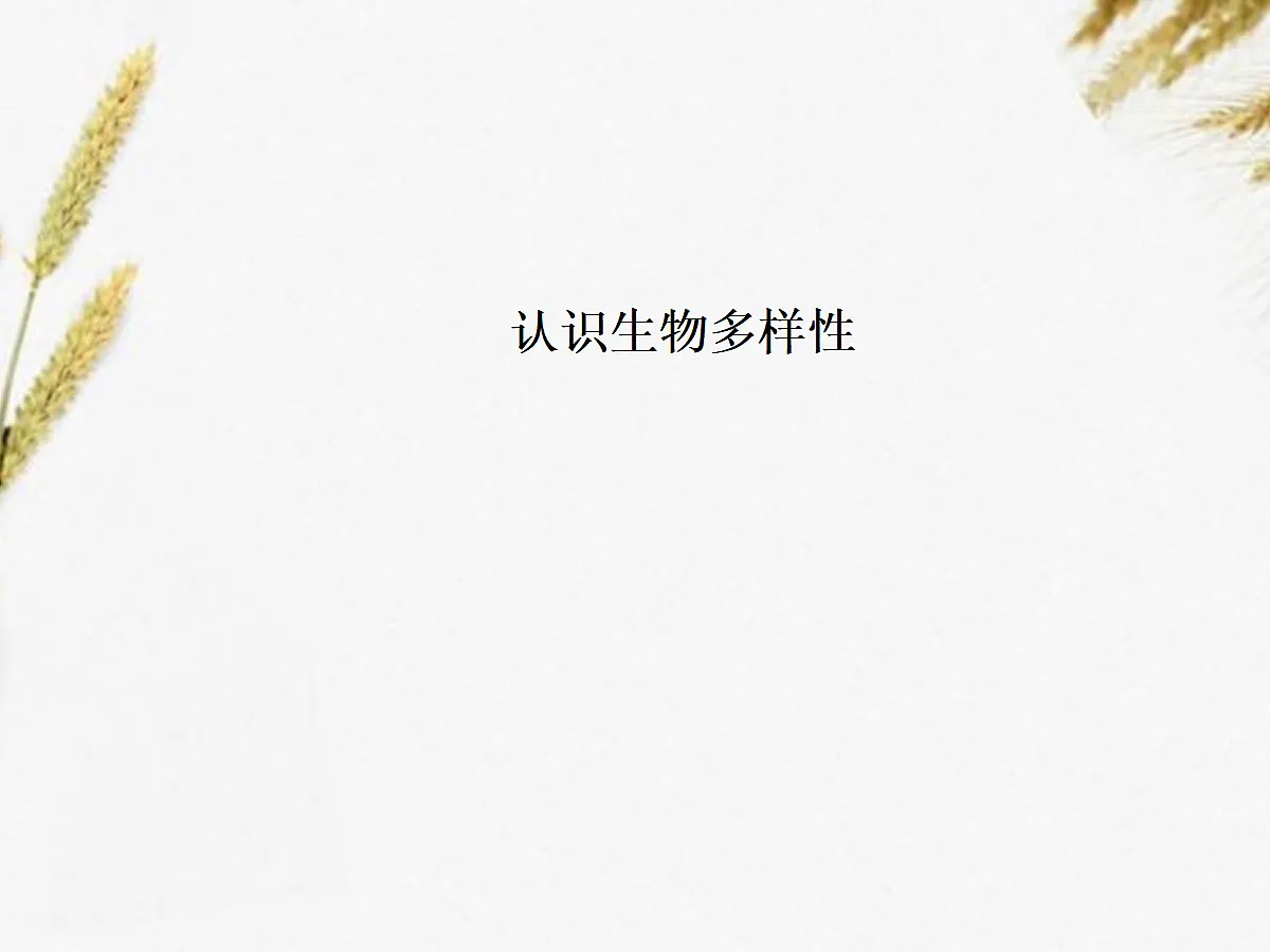 18060281第1页