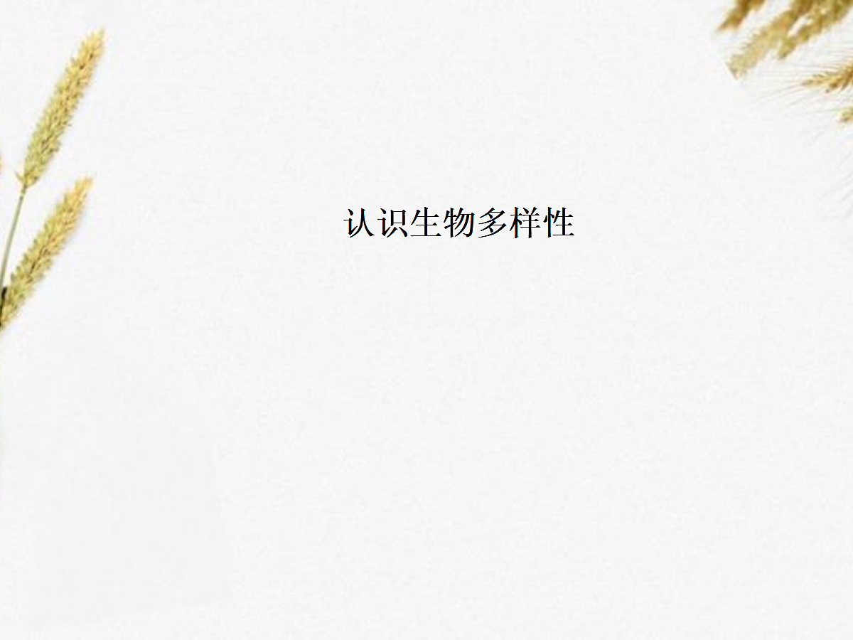18060281第1页