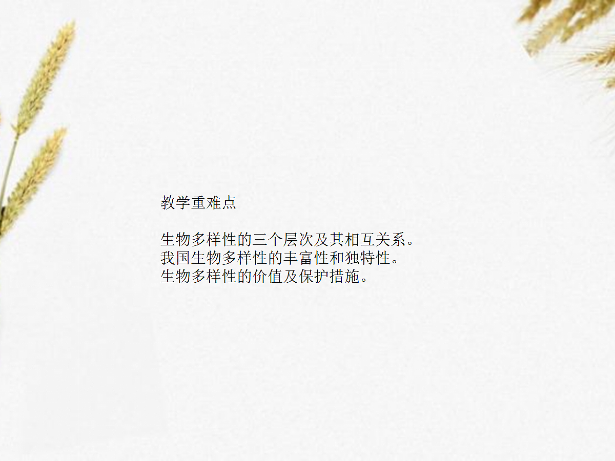 18060281第3页