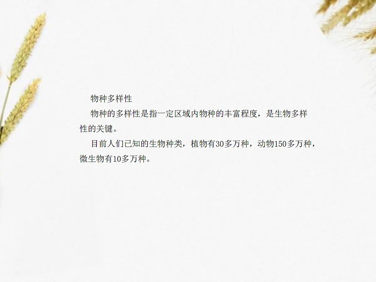 18060281第4页