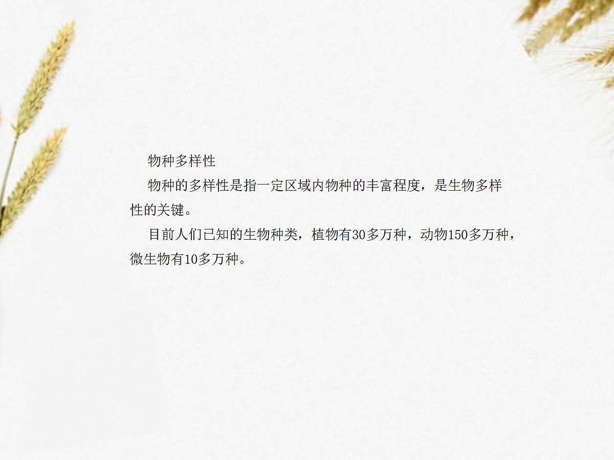 18060281第4页