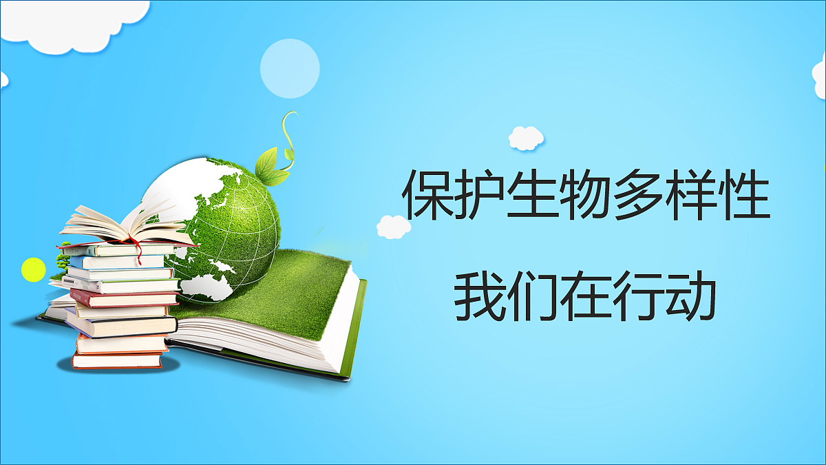 18060282第1页
