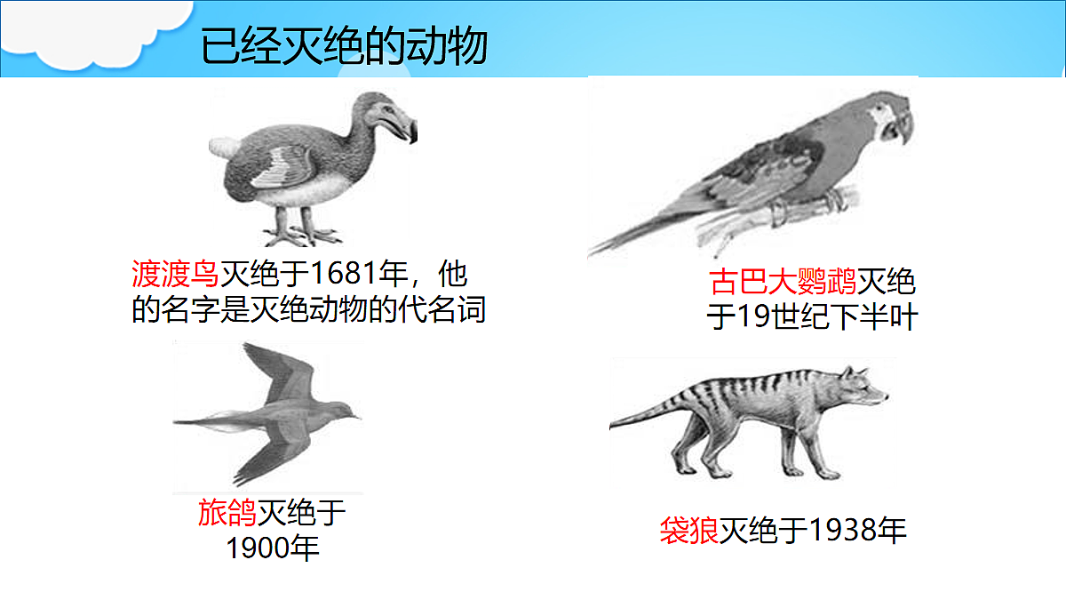18060282第6页