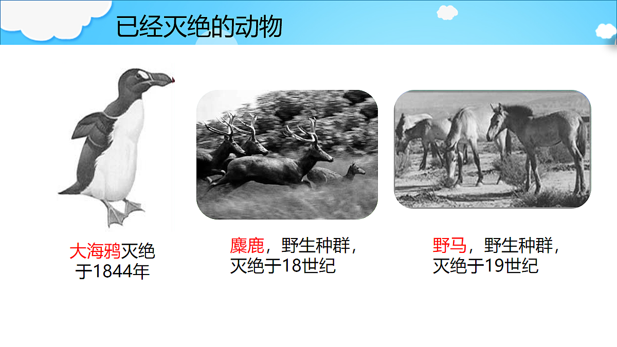 18060282第7页