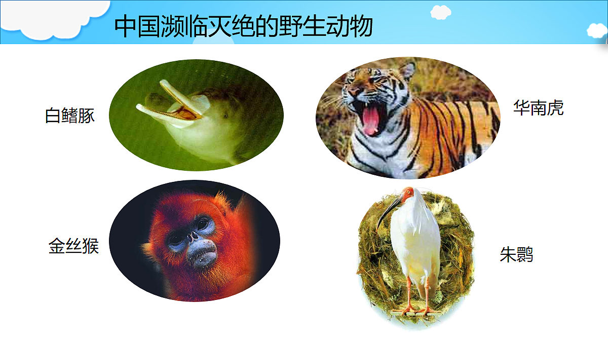 18060282第8页