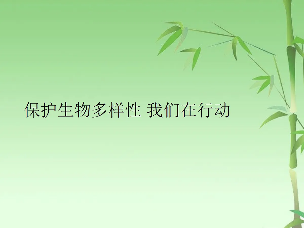 18060285第1页
