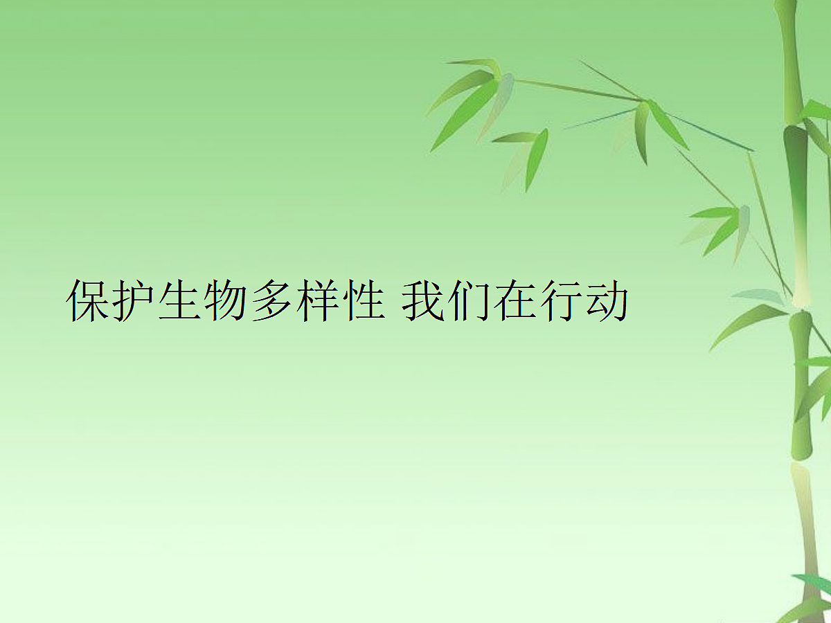18060285第1页