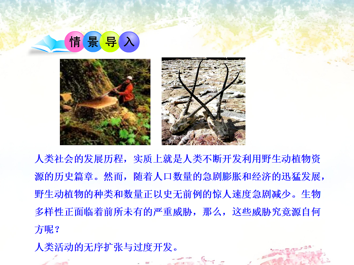 18060289第4页