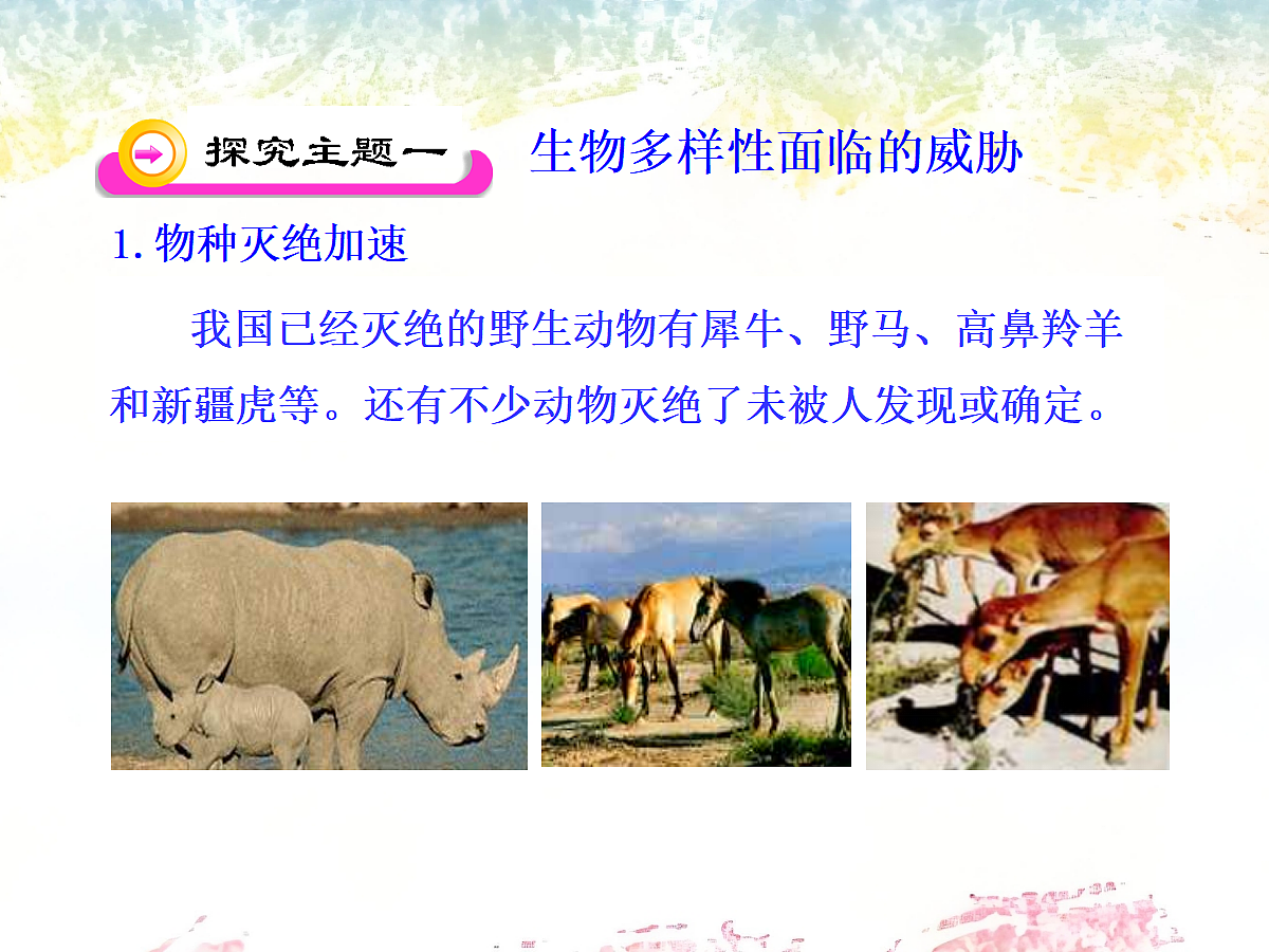 18060289第5页