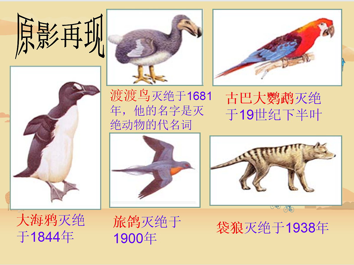 18060290第5页