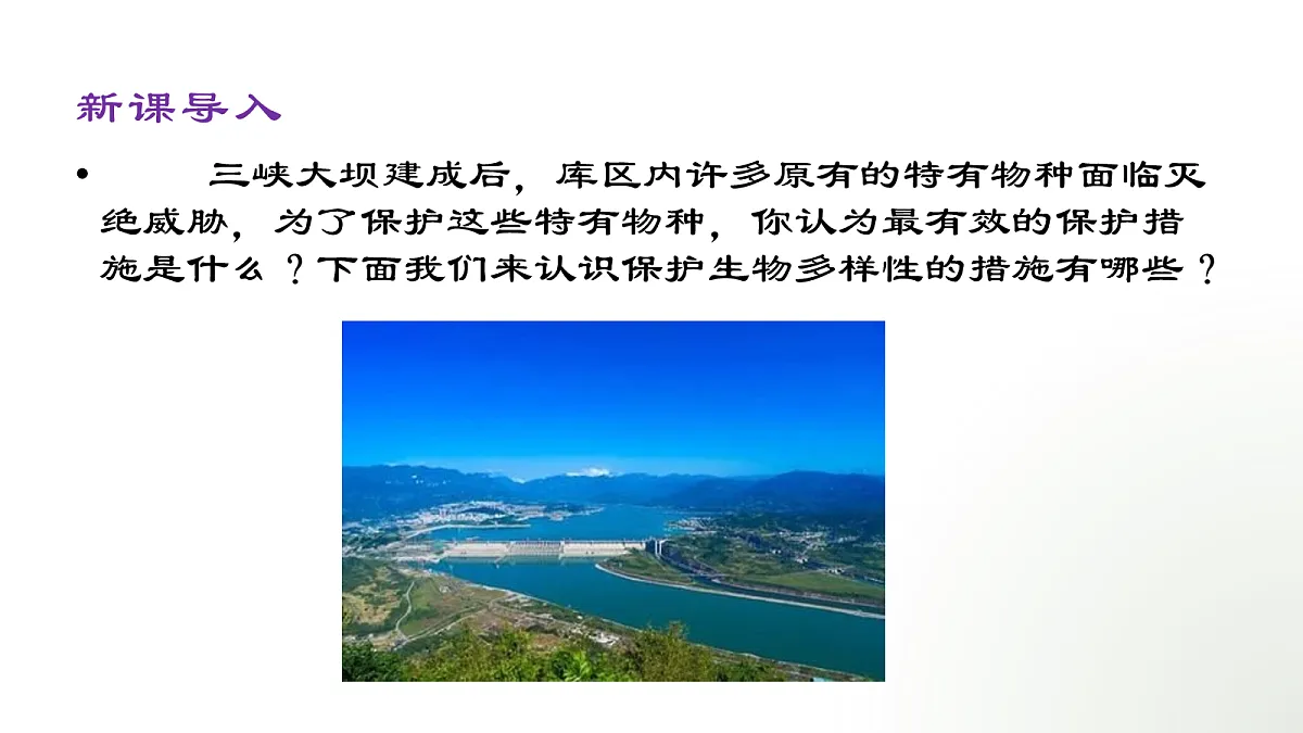 18060299第5页