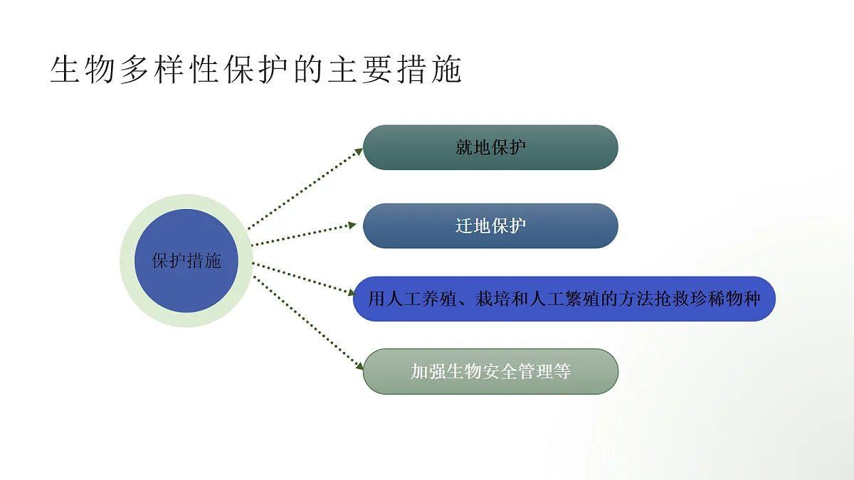 18060299第7页