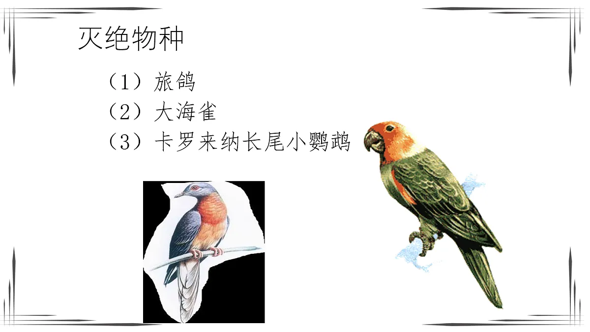 18060302第5页