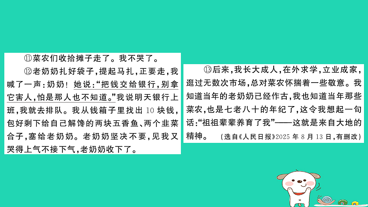 18060494第5页