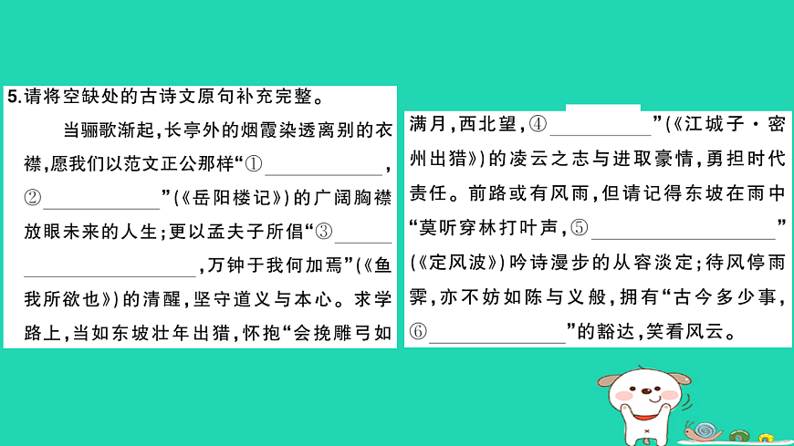18060498第5页