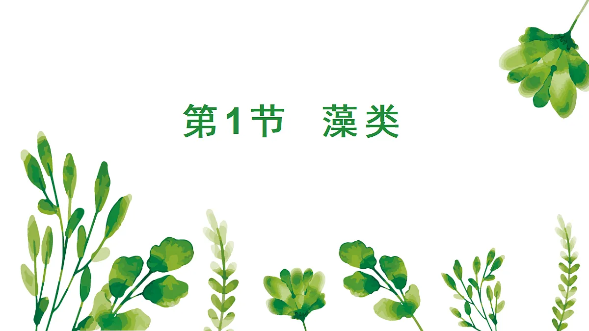 18061176第1页