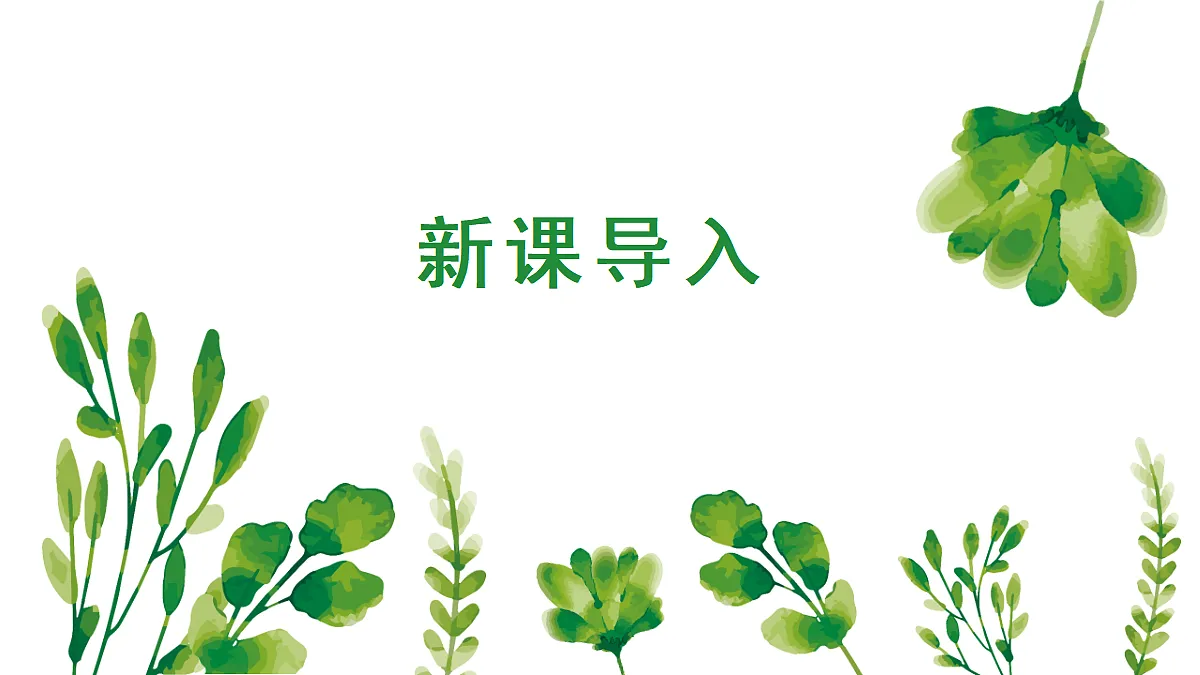 18061176第5页