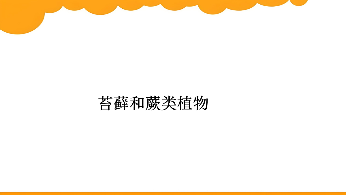 18061177第1页